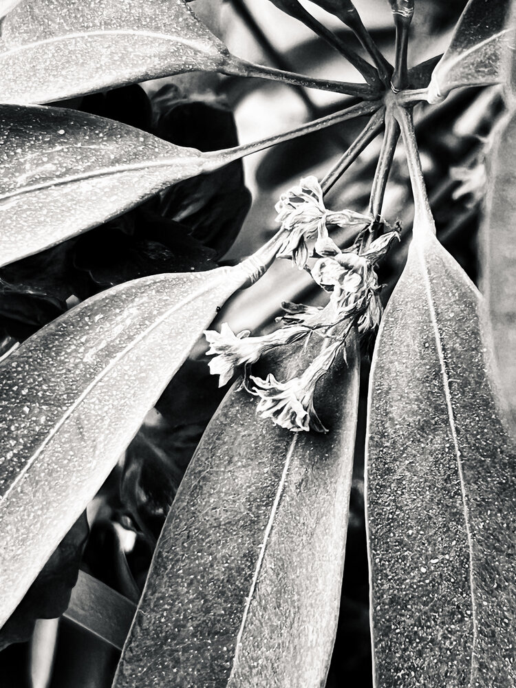 Photograph by Олег Мусин