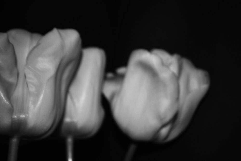 Photograph by Таня Климкович
