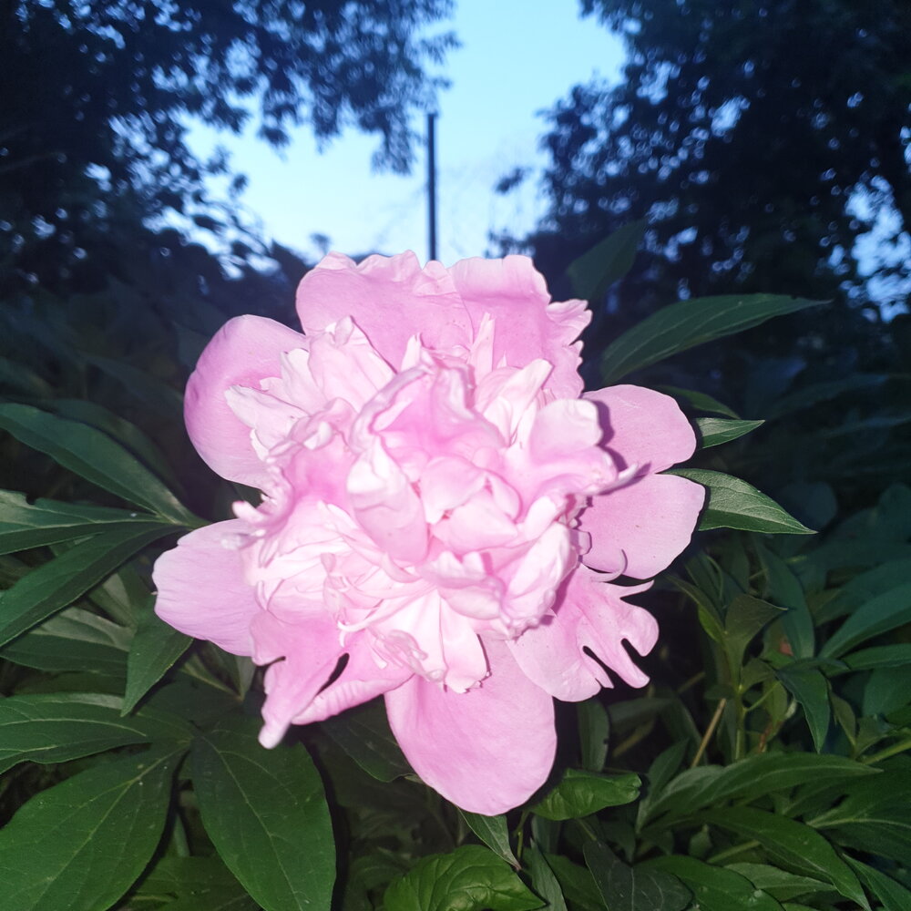 Photograph by Софья