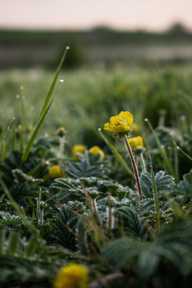 Photograph by Виктория Трущенко
