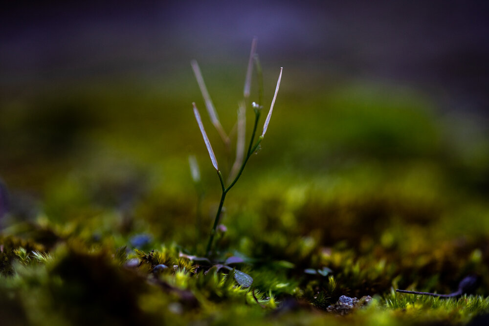 Standing alone