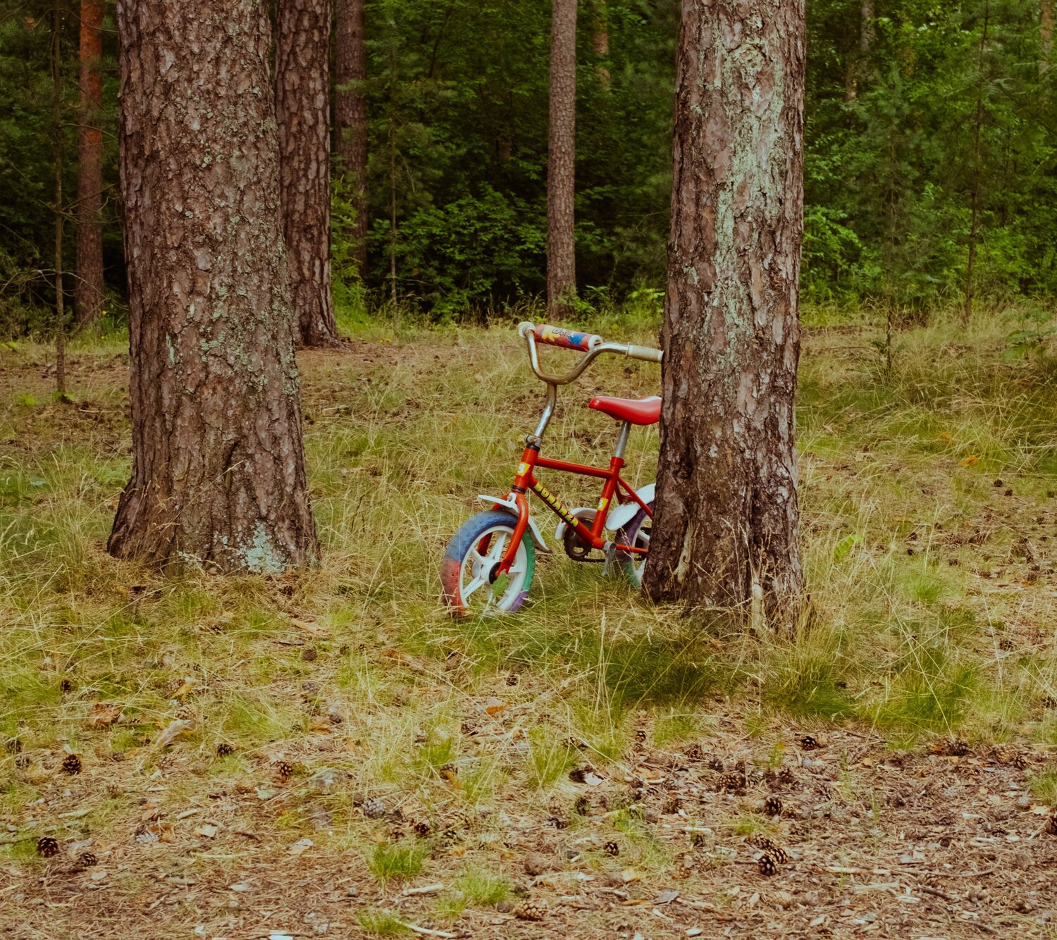 Photo #13917608