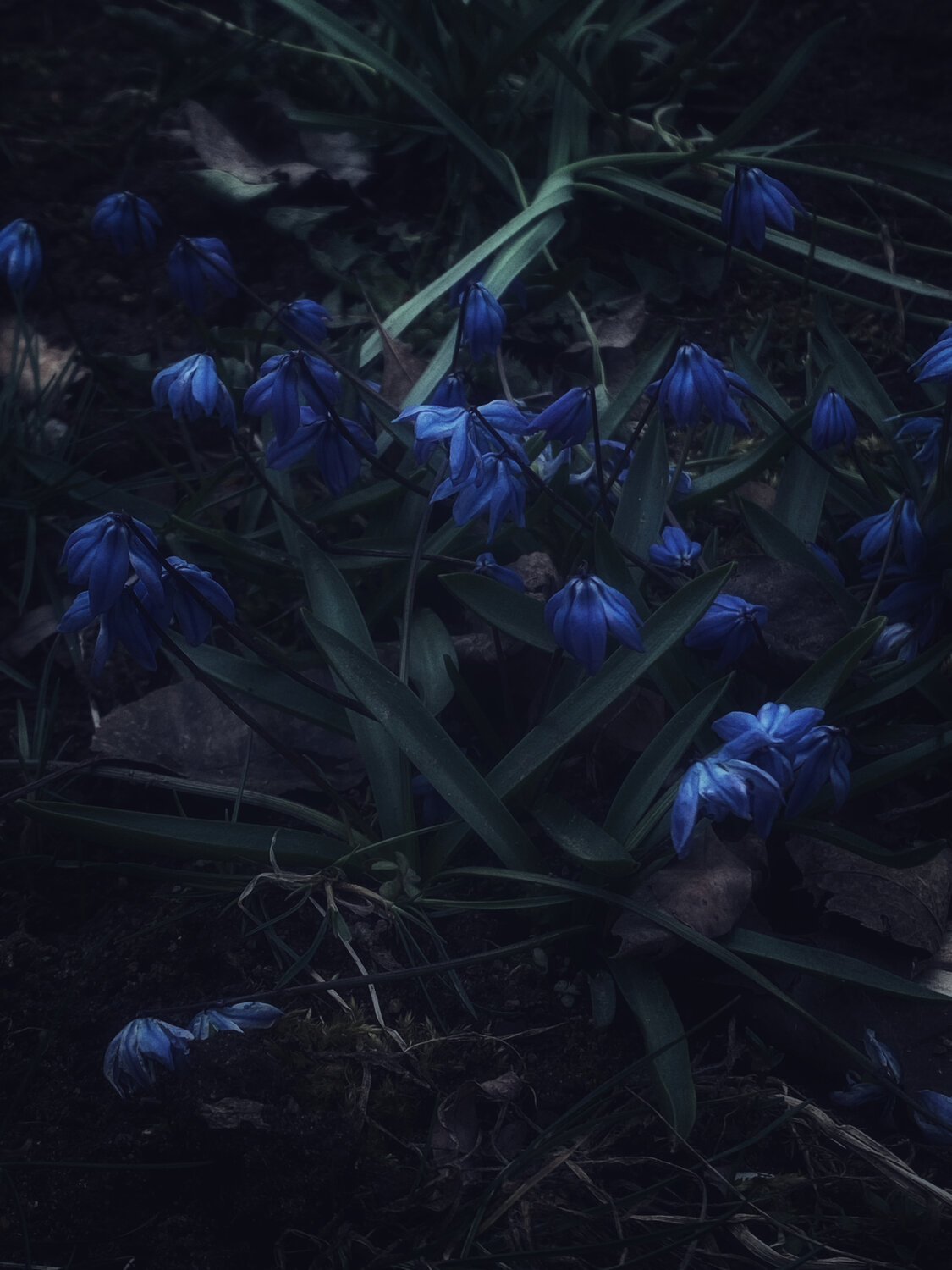 Photo #13917620