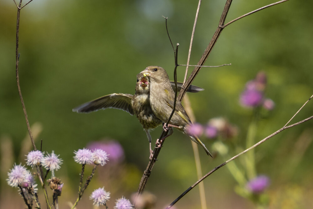 Photograph by Дмитрий Потапов