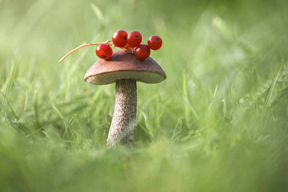 Photograph by Марина Багрова