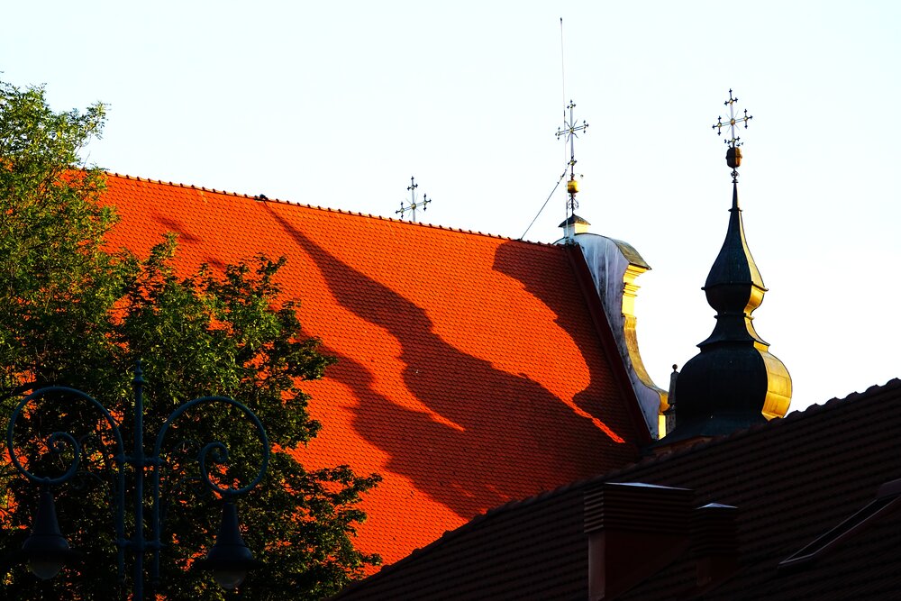 Photograph by jelena konickaja