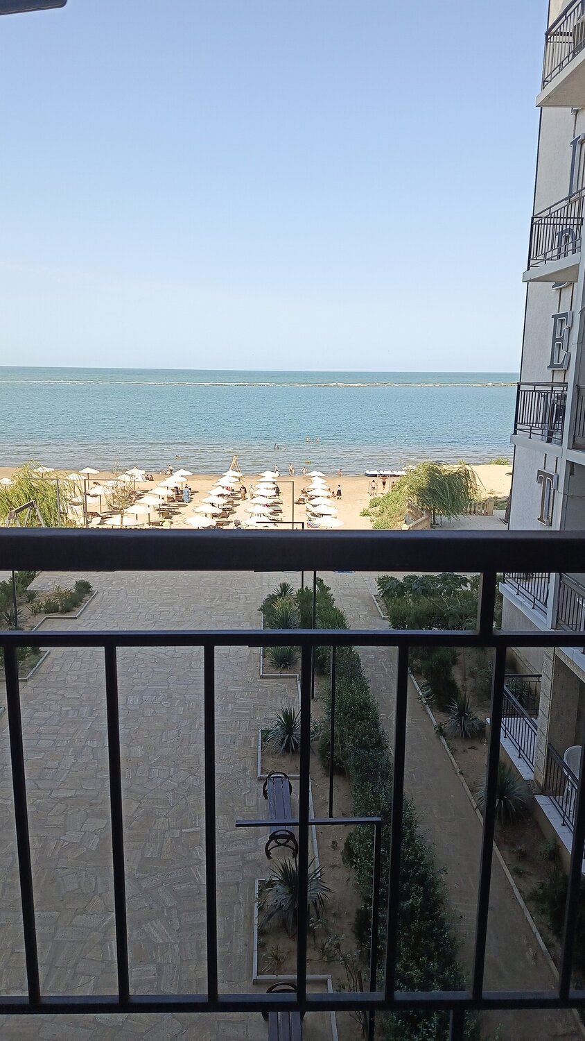 Photo #13917790