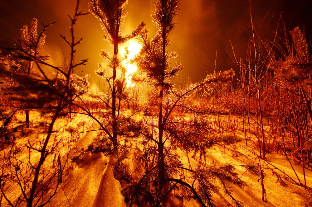 Photograph by Михаил Дронов