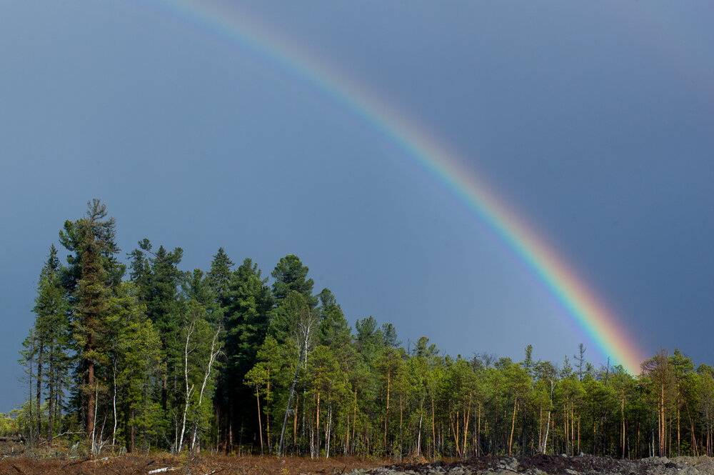 Photograph by Михаил Дронов