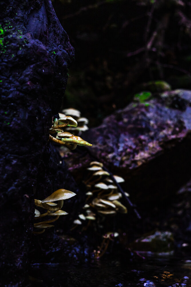 Photograph by Jorge Antonio Manjarrez Castellanos
