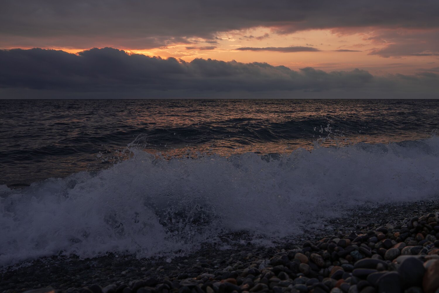 Photo #13918142