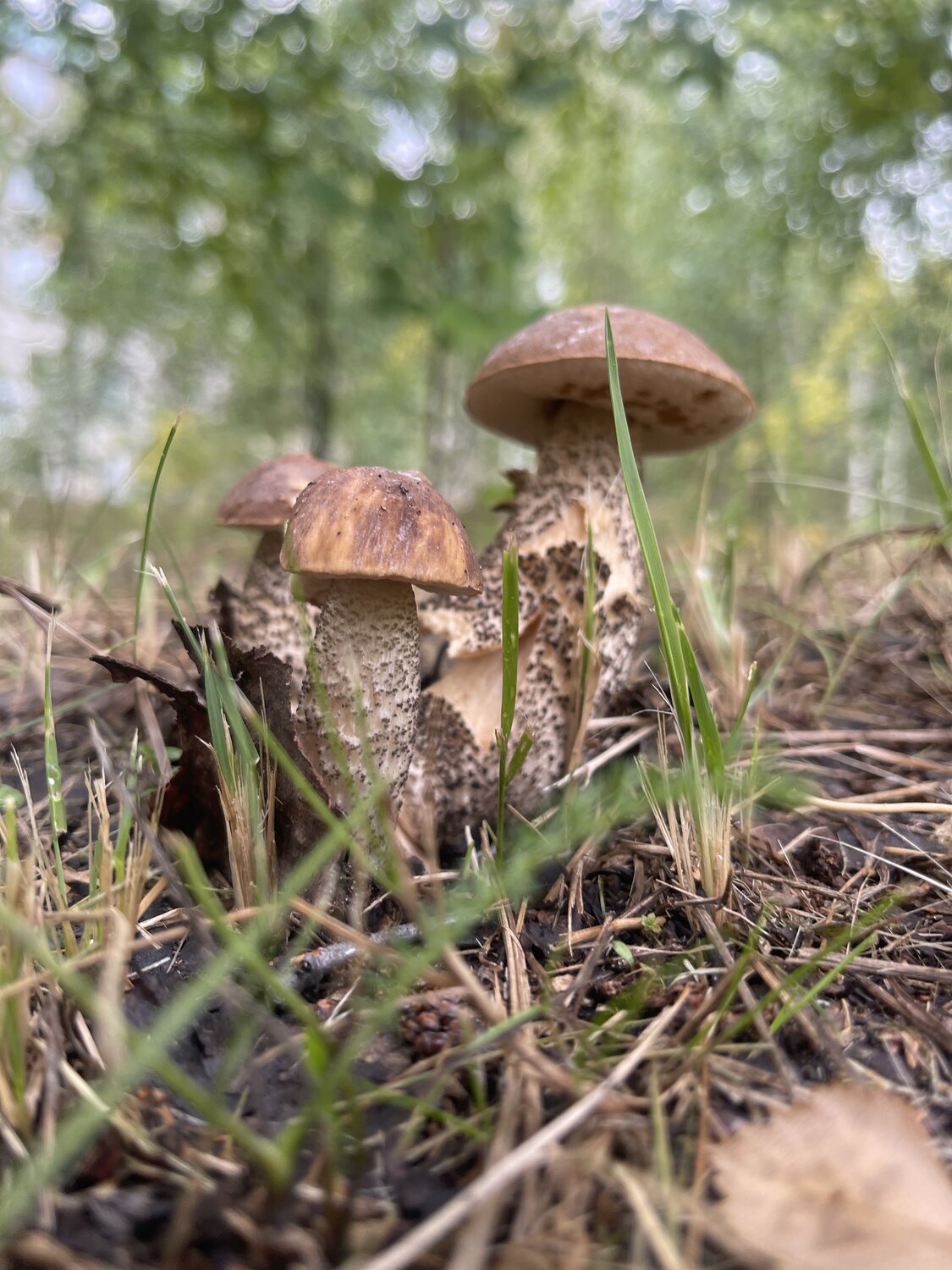 Фотография #13918205