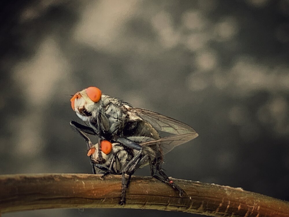 Photograph by Washiful Majid
