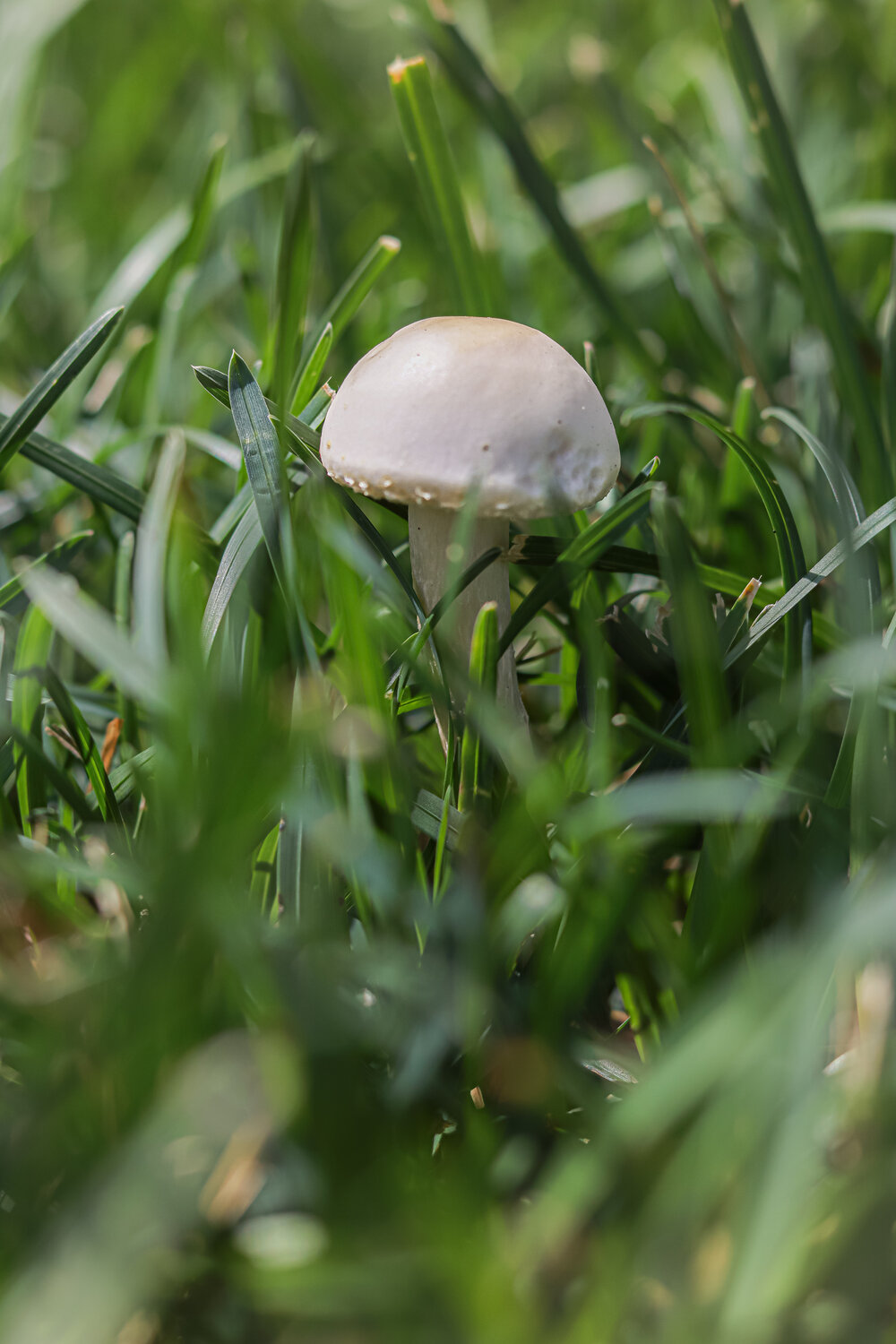 Photo #13918247