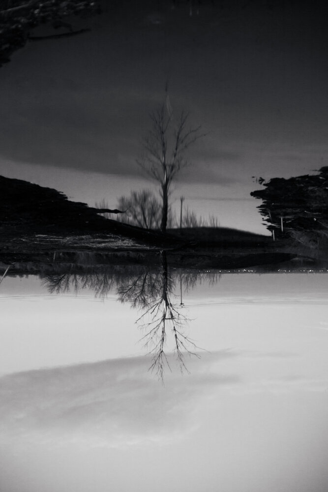 Photograph by Дарина Синица