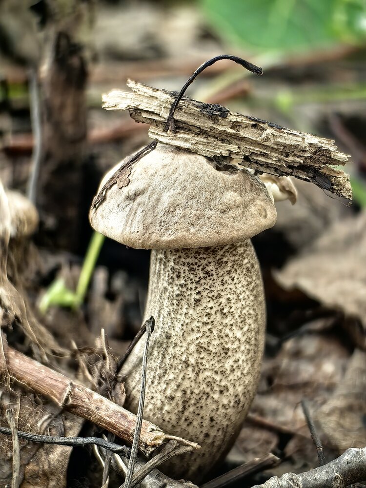 Photograph by Юлия Горелова