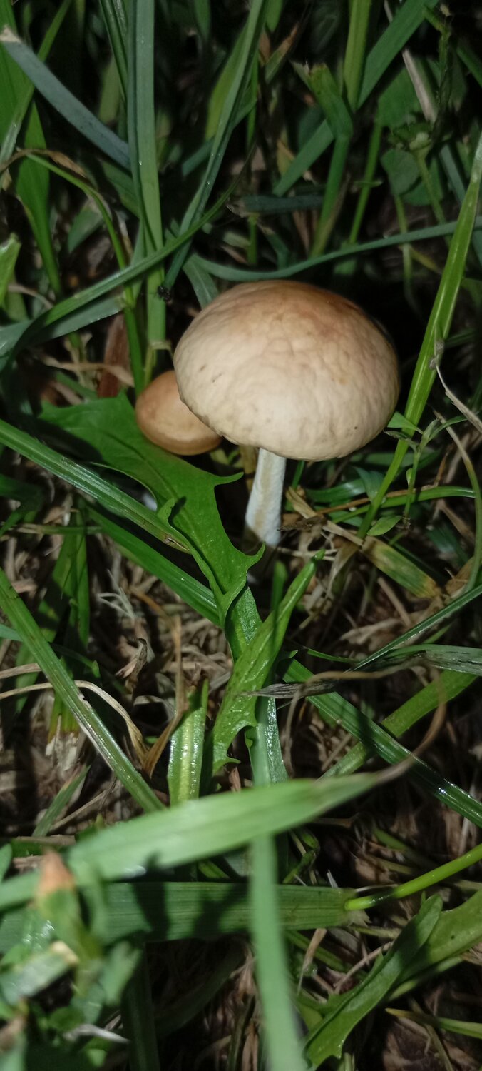 Photo #13918326