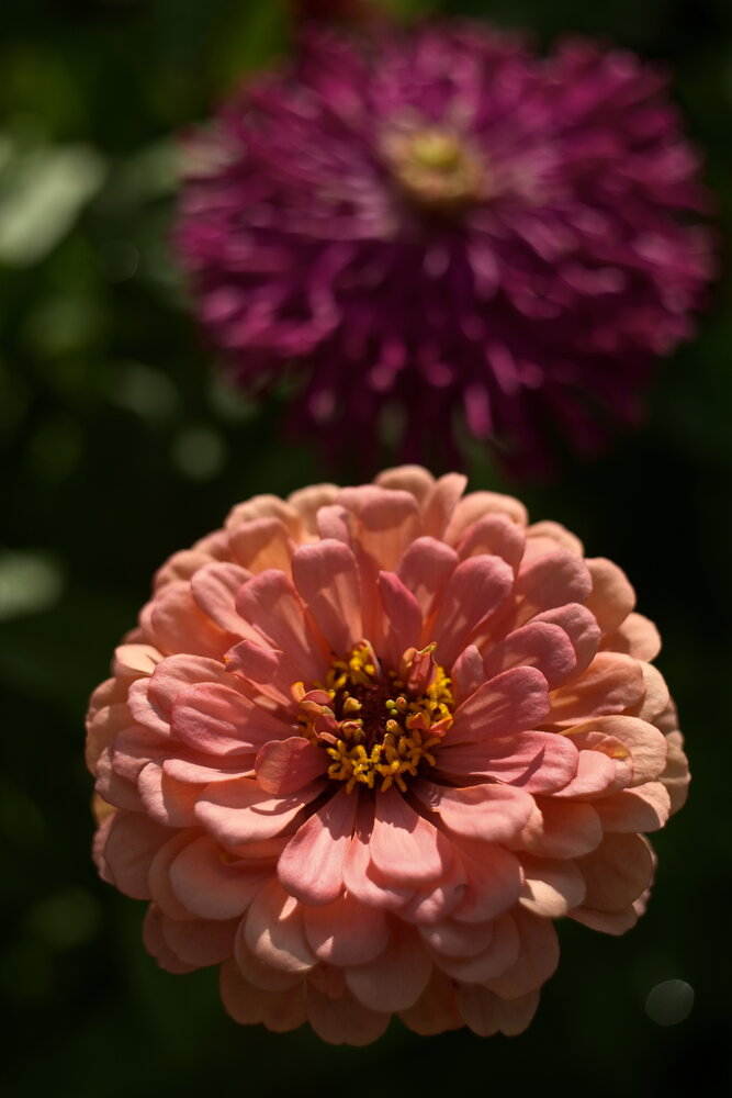 Photograph by Юрий Кашлевский