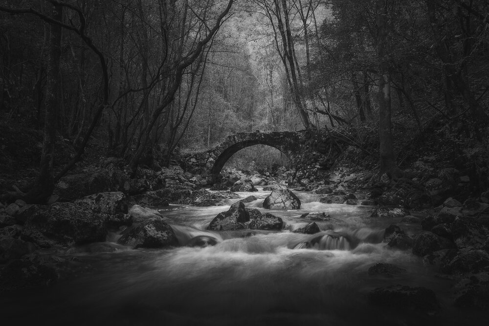 Photograph by de Franzoni Thomas