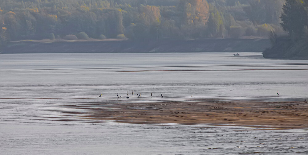 Photograph by Александр Широких