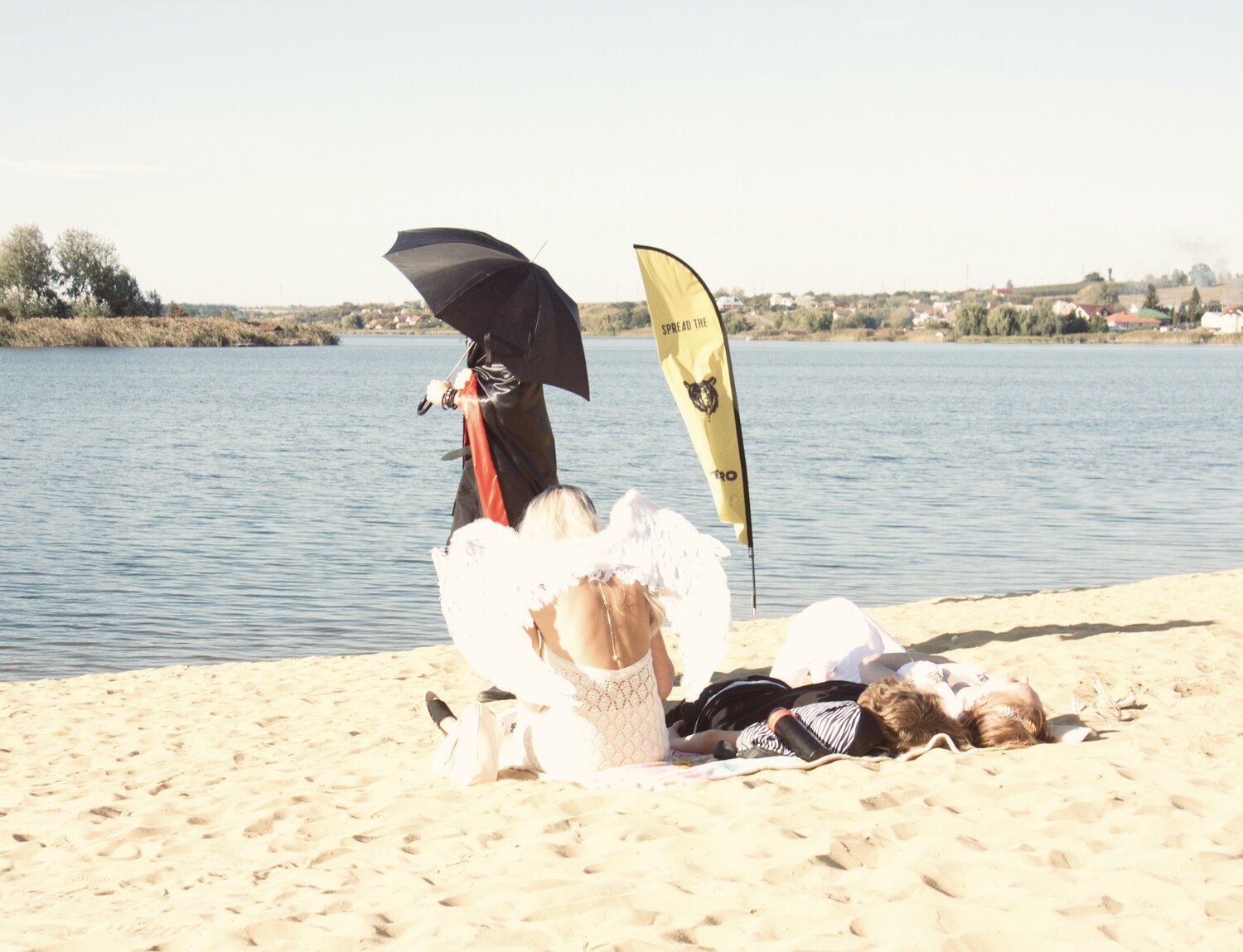 Photo #13918407