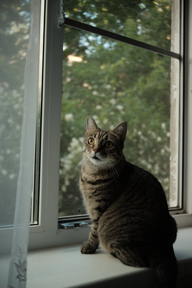 Photograph by Рыбчинский Антон
