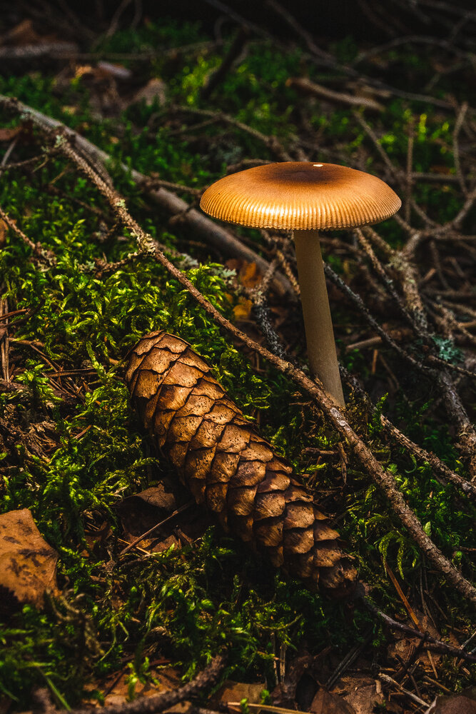 Photograph by Anna Amarova