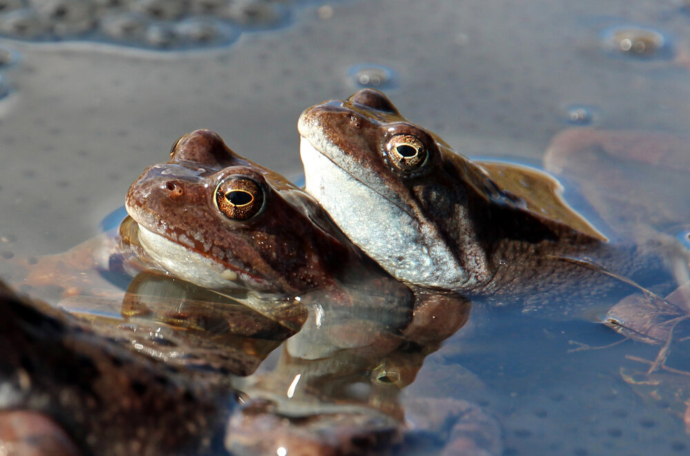 Вдвоем