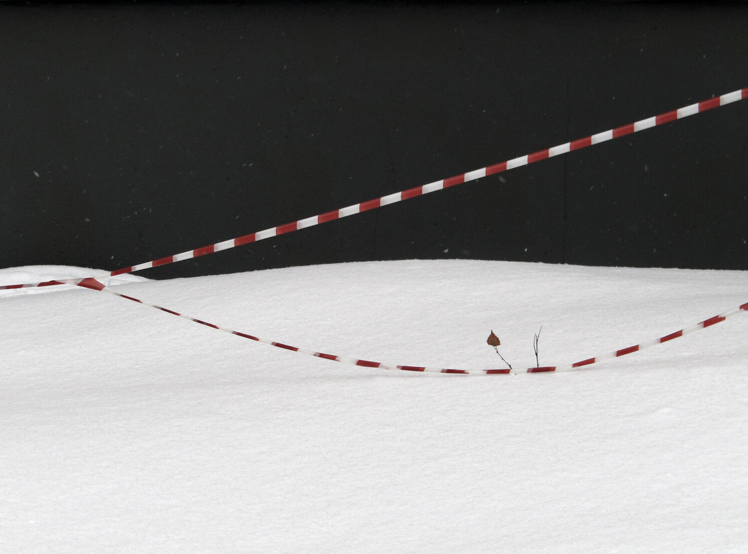 Photo #13918507