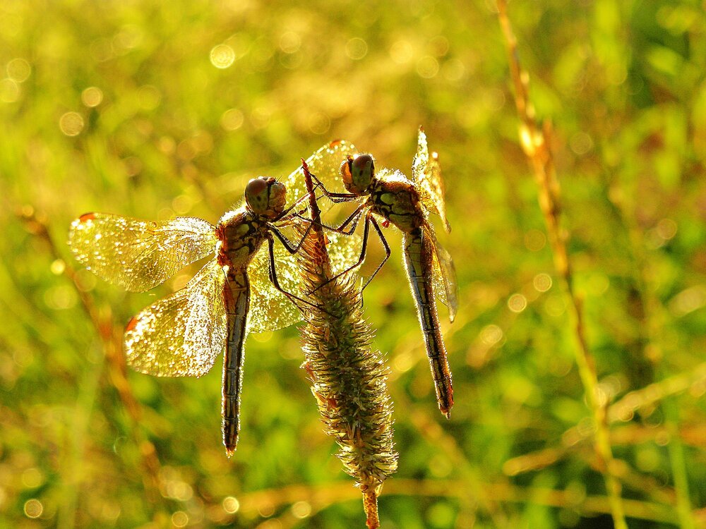 Photograph by Zero