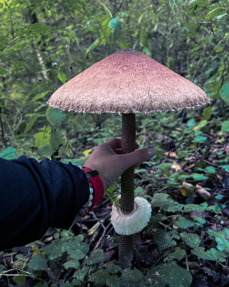 Photograph by Анна Пудовкина