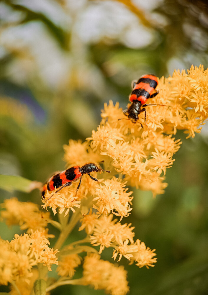 Photograph by Ольга Кунакова
