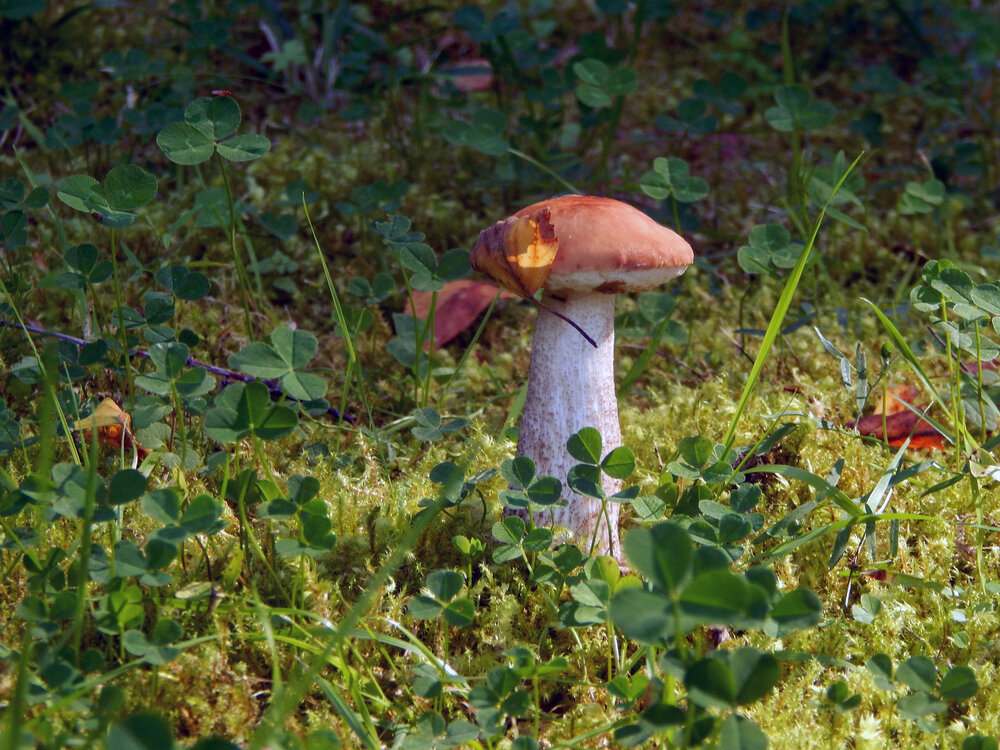 Photograph by Кирилл Елесин