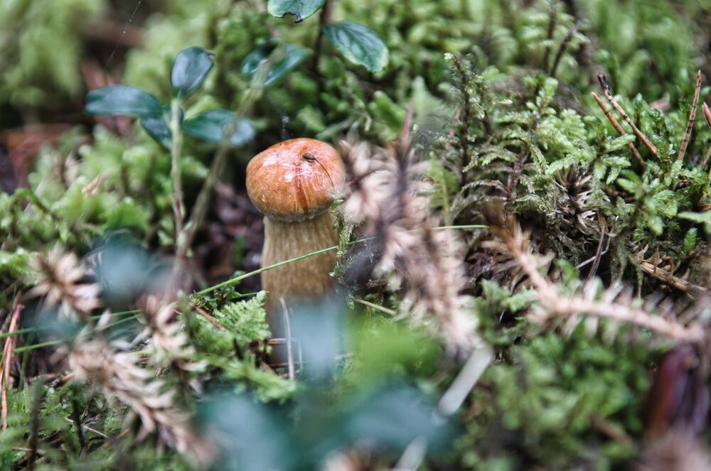 Photograph by Vjaceslavs