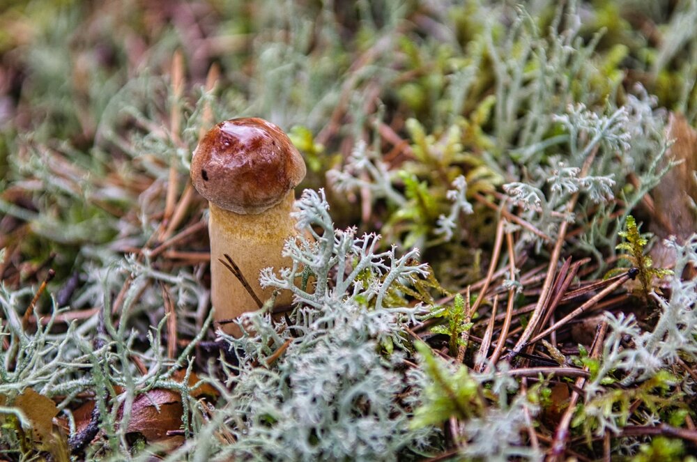 Photograph by Vjaceslavs