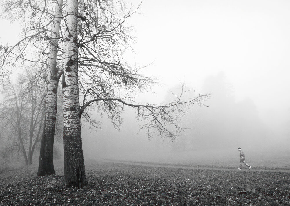 Photograph by Марина Брыдня