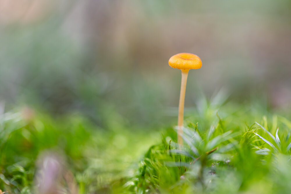 Photograph by Наталия Черкасова