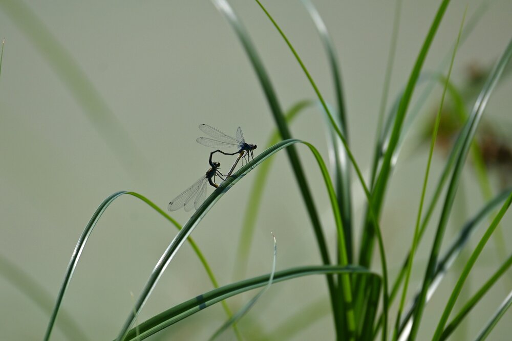 Photograph by IRINA FILIPPOVA