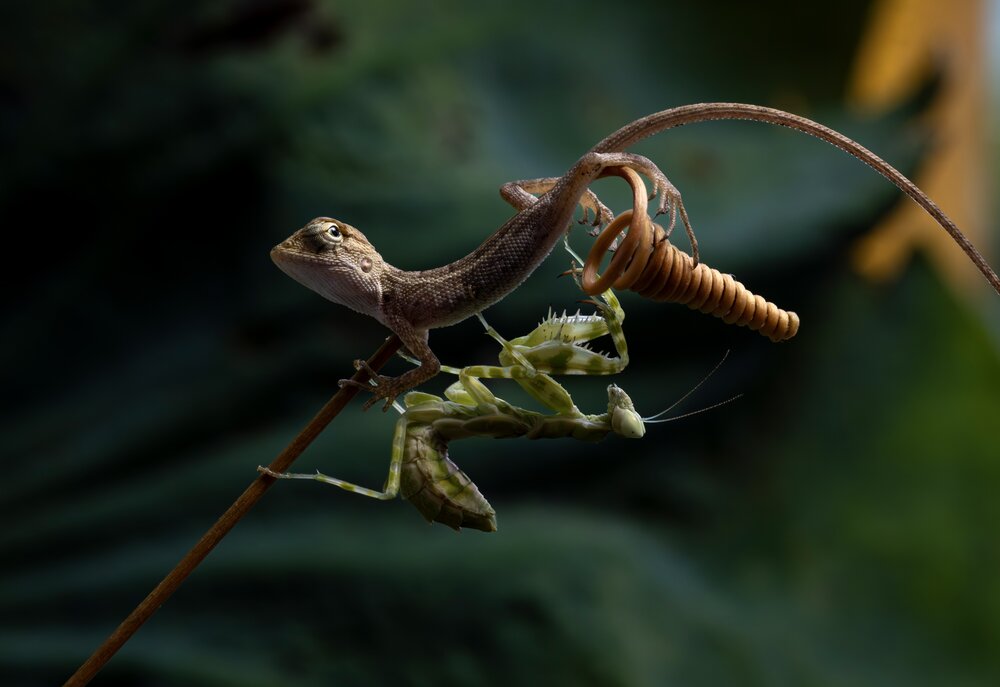 Photograph by Phat Huynh