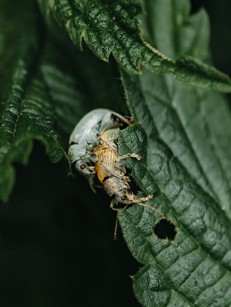 Photograph by Alexander Lonsdale