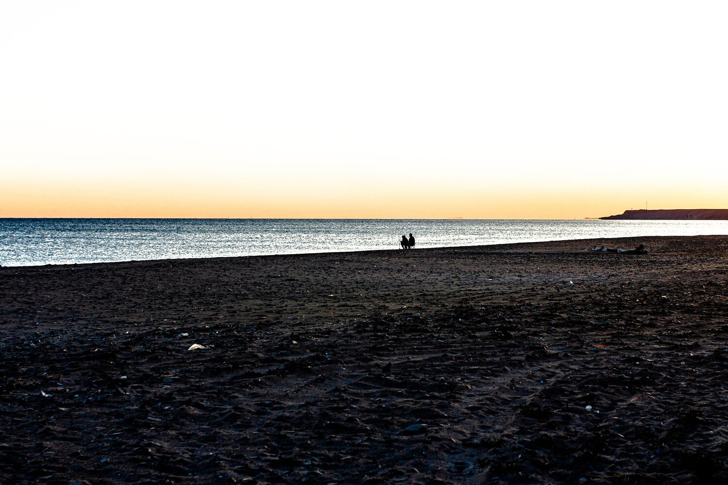 Photo #13919291