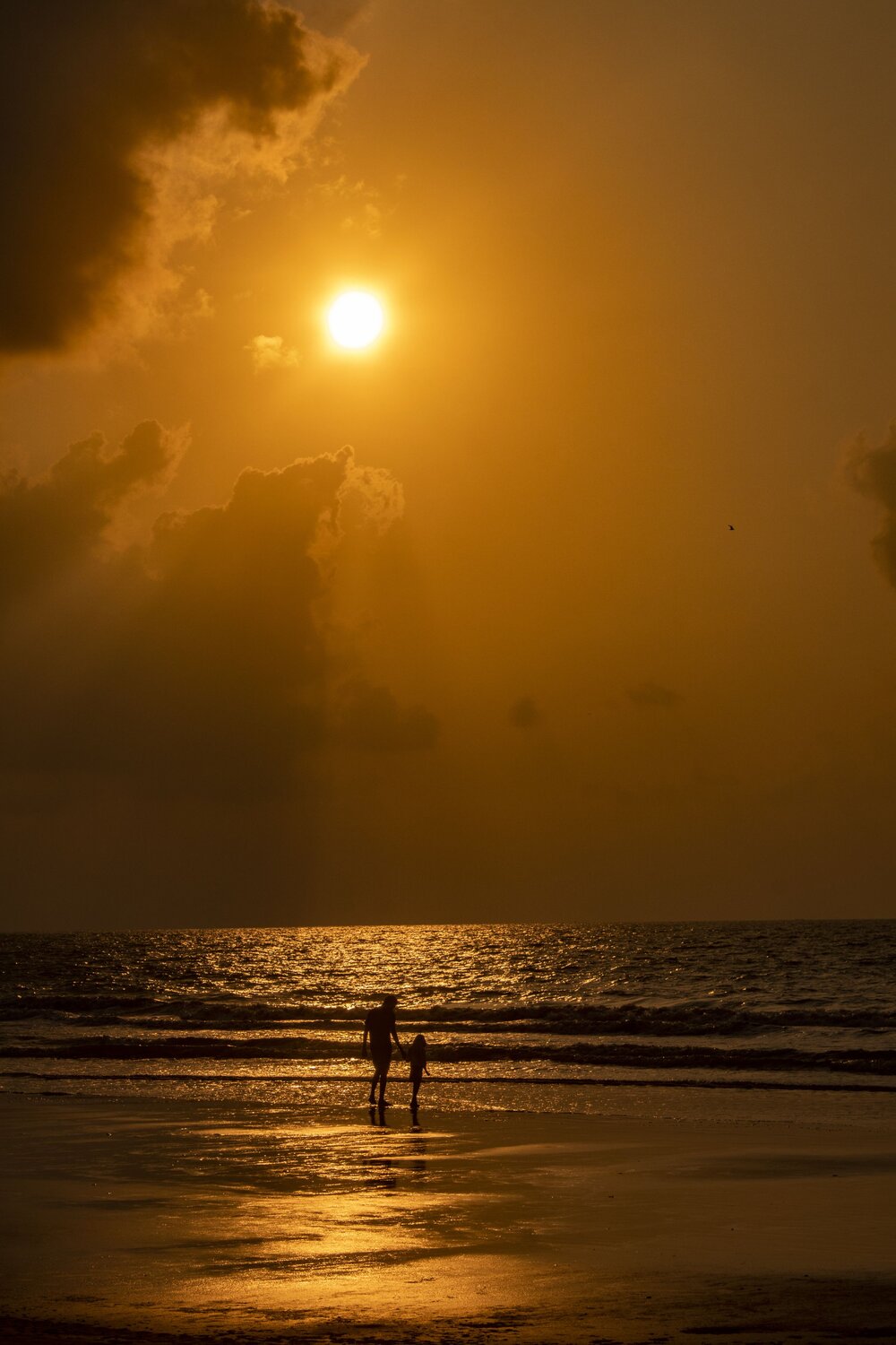 Photo #13919363