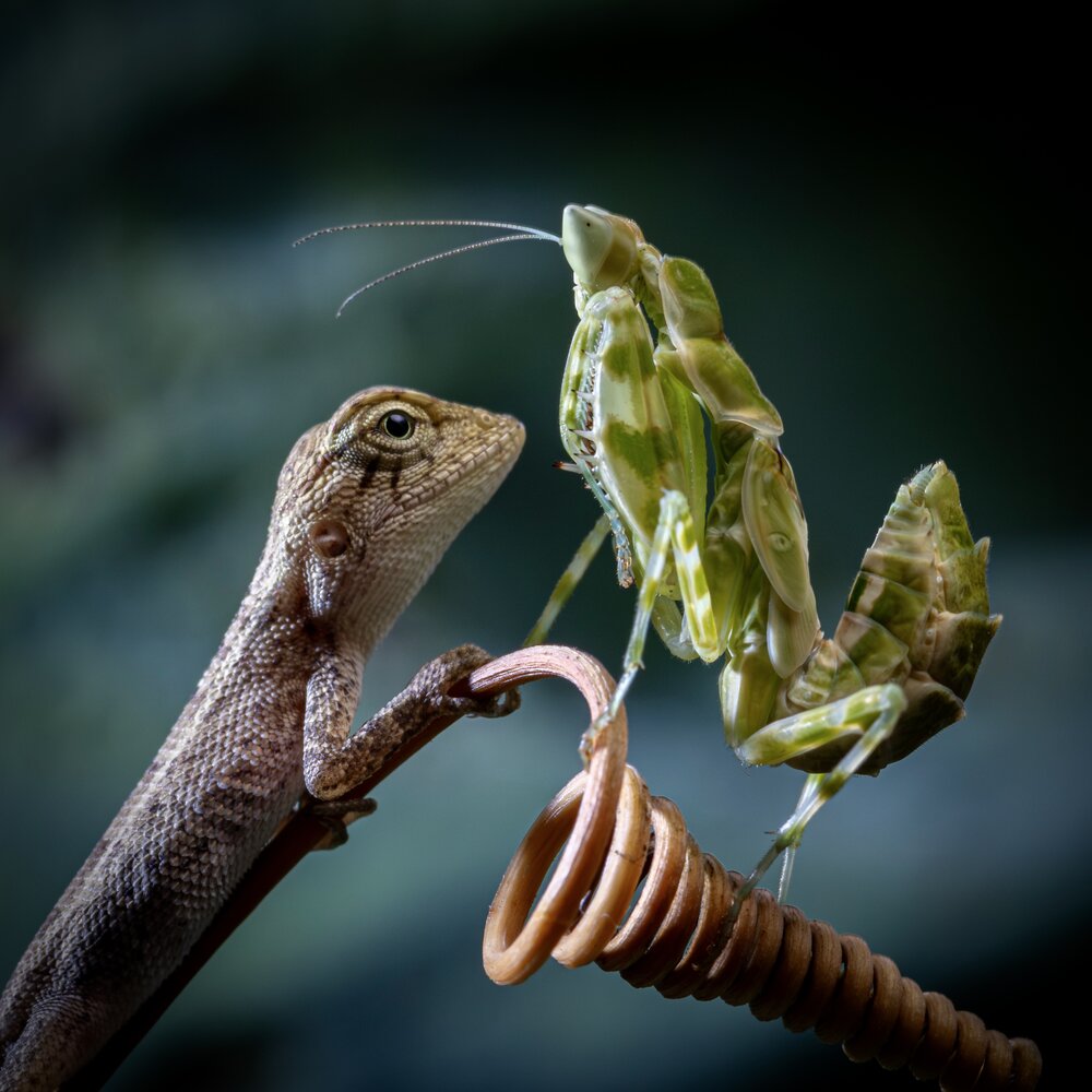 Photograph by Phat Huynh