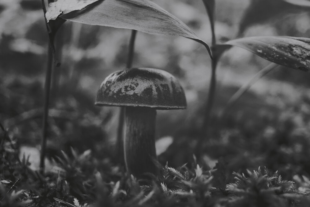 Photograph by Яна Егорова