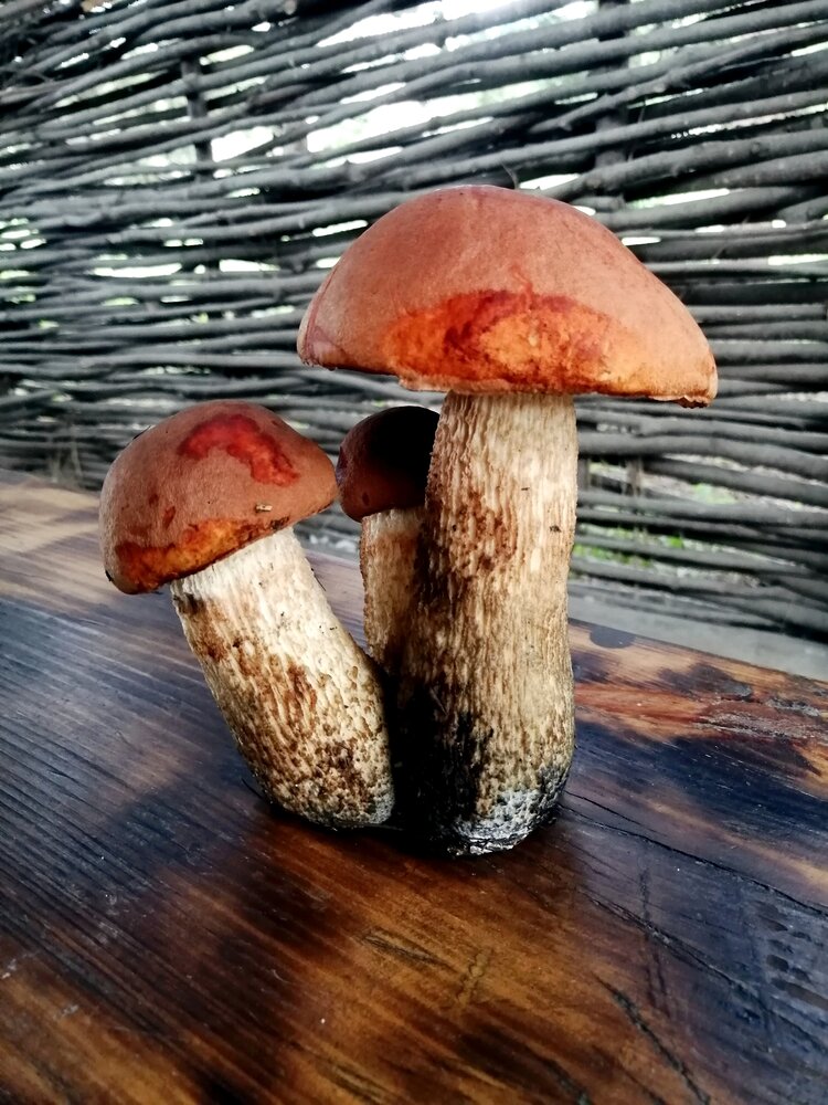Photograph by Валентина Анюхина