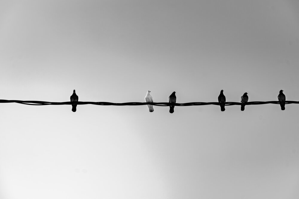 Photograph by Алексей