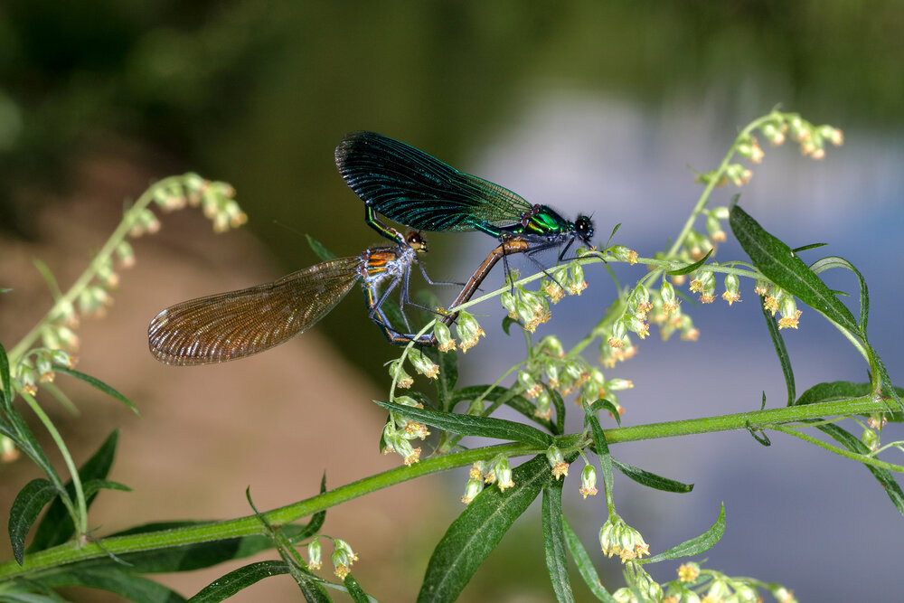 Photograph by Светлана Долотова