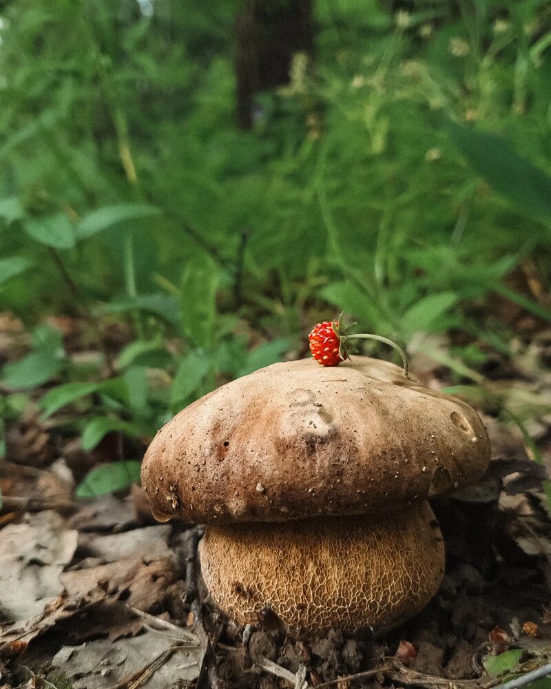 Photograph by Ольга Гетман