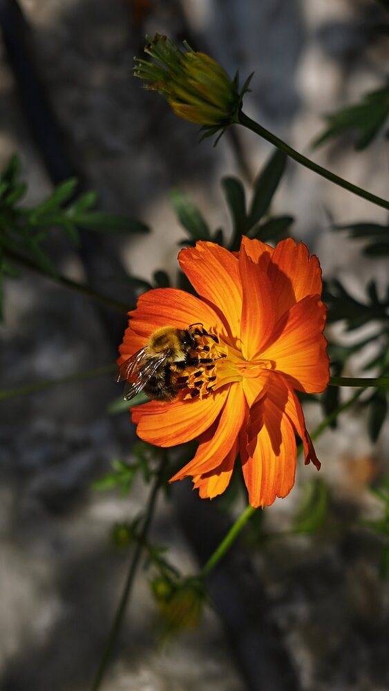 Фотография автора Иван Егупов