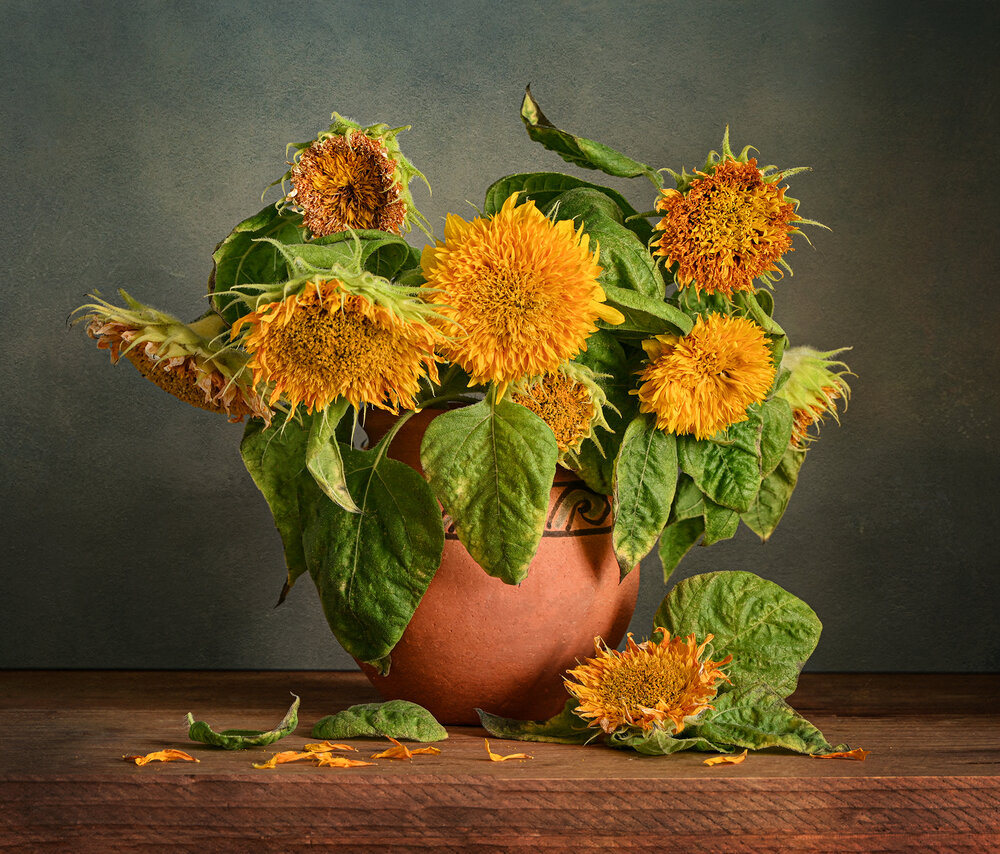 Photograph by Inna Ivanova